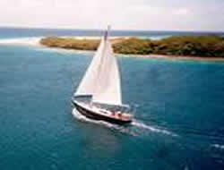Velero Turpial