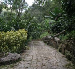 Sierra Verde: Camino entrada