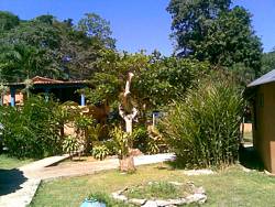 Posada Bambusal