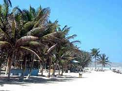 Hotel Las Palmeras
