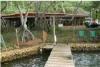 Muelle