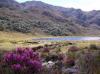Posada Laguna Grande