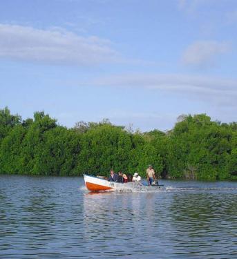 Tortuga Lodge