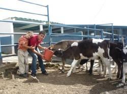 Posada Agroturistica La Romere�a