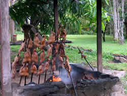 Parakaupa Canaima