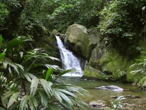 CASCADA EN EL RIO SAN ESTEBAN