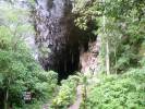 La Cueva del Guacharo