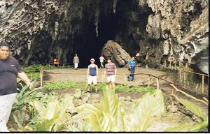 Cueva del guacharo