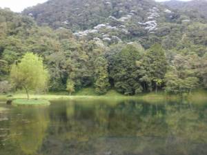 Laguna de los Cedros