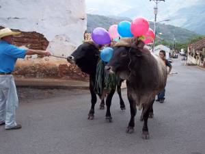 Fiestas de San Isidro Labrador