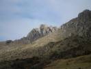 en el paramo los conejos!!