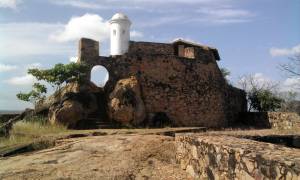 fortin del zamuro