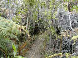 La vegetacin con arbustos permite al excursionista protegerse del sol