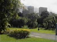 Plaza Venezuela desde Jardin Botanico