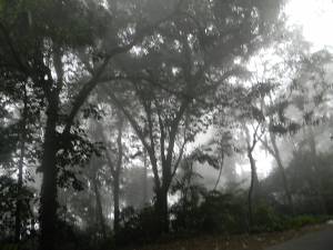 Neblina na via para Ocumare