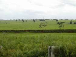 Llanos de Barinas