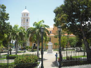 Plaza Bolvar y Catedral