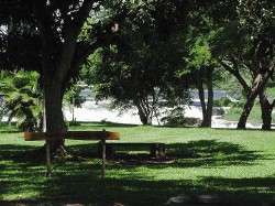 O parque Cachamay, rvores