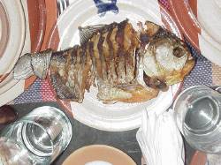 Pira�a para comer, Hato Pi�ero