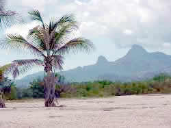 Playa con vista a Macanao en las Restinga