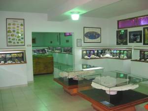 One of the museums room