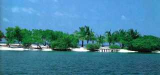 Morrocoy