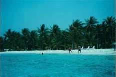 Morrocoy