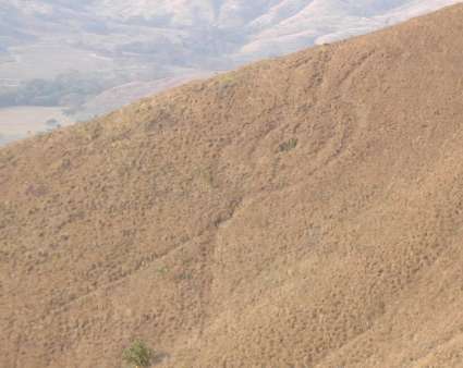La rueda del indio