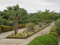 Jardin botanique xrophyte