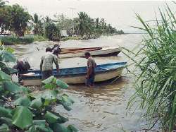 Fishermen at San Timoteo