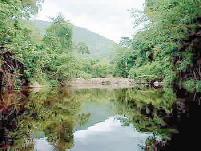 Laguna la Leona