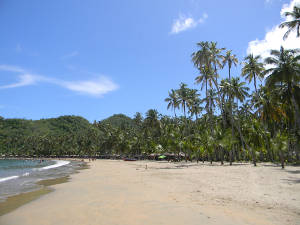 Playa con Arena