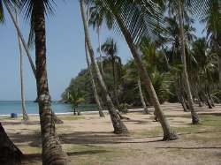 Cocoteros beach