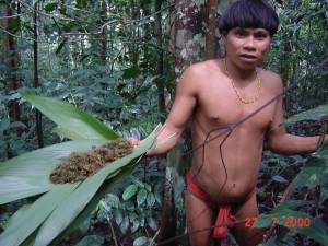 Dieta del Yanomami