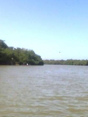 Laguna de Tacarigua