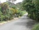 Un camino por el pueblo de Tunapuy, estado Sucre