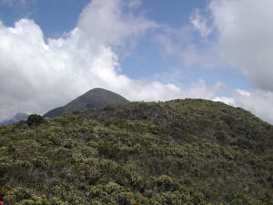Pico Occidental