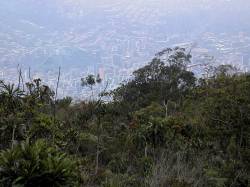 Sicht vom Pico Occidental