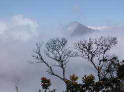 Entre las nubes, el pico Naiguatá
