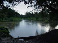 El río Cojedes, un afluente del Portuguesa