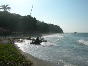 Playa Todasana