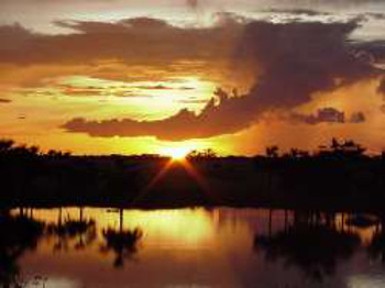 Sonnenuntergang in Esteros de Camaguán