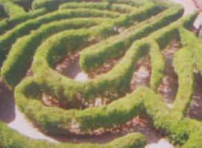 Vista aérea do labirinto