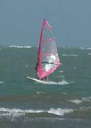 Windsurf in Adicora