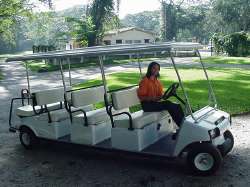 Electric cart for the tour