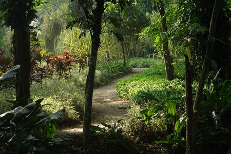 Parque de la Flora Exótica Tropical