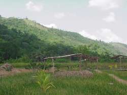 Landschaft in Aguasana