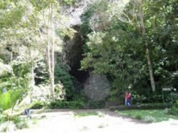 Cueva del Gucharo